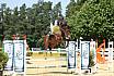 Sonntag Youngster M 