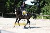 Samstag L Dressur