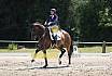 Samstag M Dressur