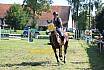 Samstag Springpferde A 