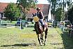 Samstag Springpferde A 