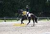 Samstag M Dressur