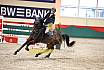 Samstag Amateur M