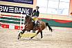 Samstag Amateur M