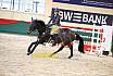 Samstag Amateur M