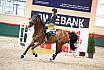 Samstag Amateur M