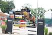Sonntag Youngster 6j