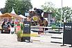 Sonntag Youngster 6j