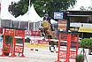 Sonntag Youngster 6j