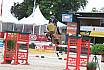 Sonntag Youngster 6j