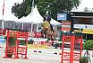 Sonntag Youngster 6j