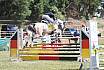 Samstag Springpferde A 