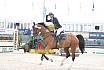 Sonntag Youngster 6j