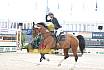 Sonntag Youngster 6j