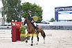 Sonntag Youngster 6j