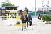 Sonntag Youngster 6j