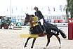 Sonntag Youngster 6j