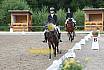 Sonntag Dressurreiter A