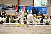 Samstag Reiterwettbewerb
