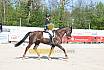 Sonntag Dressurreiter A 