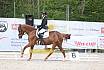Sonntag Dressurreiter A 