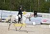 Sonntag Dressurreiter A 
