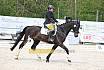 Sonntag Dressurreiter A 
