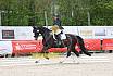 Sonntag Dressurreiter A 