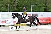 Sonntag Dressurreiter A 