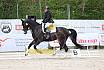 Sonntag Dressurreiter A 