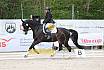 Sonntag Dressurreiter A 
