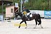 Sonntag Dressurreiter A 