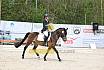 Sonntag Dressurreiter A 