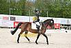 Sonntag Dressurreiter A 