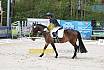 Sonntag Dressurreiter A 