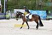Sonntag Dressurreiter A 