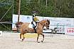 Sonntag Dressurreiter A 