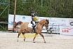 Sonntag Dressurreiter A 