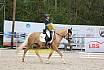 Sonntag Dressurreiter A 