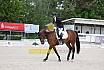 Freitag Dressurpferde A 