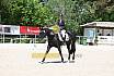 Freitag Dressurpferde A 