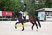 Freitag Dressurpferde A 