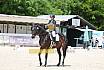 Freitag Dressurpferde A 