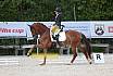 Freitag Dressurpferde A 