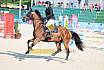 Samstag Amateur Bronze