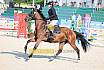 Samstag Amateur Bronze