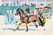 Samstag Amateur Bronze