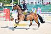 Samstag Amateur Bronze