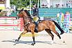 Samstag Amateur Bronze