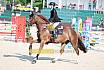 Samstag Amateur Bronze